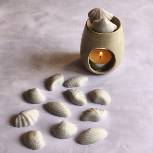 Wax melts forma concha blanco sin aroma pack 13 ud - MariVelasZen